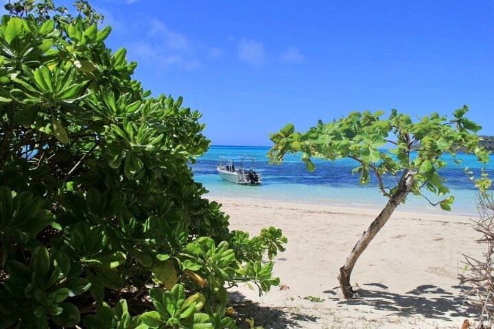 Coconut Beach Resort Tavewa Island Exteriér fotografie