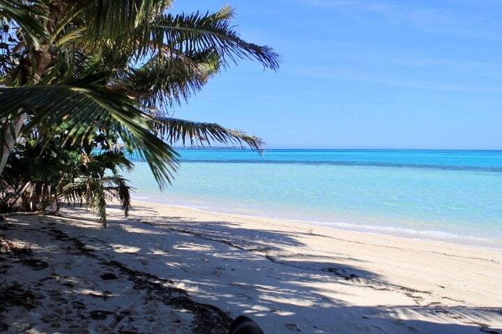 Coconut Beach Resort Tavewa Island Exteriér fotografie