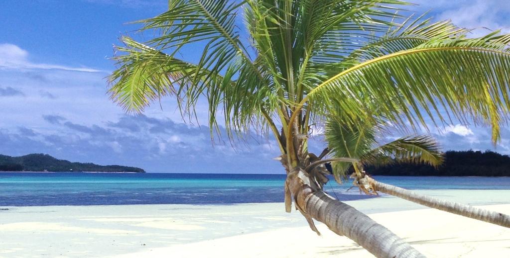 Coconut Beach Resort Tavewa Island Exteriér fotografie